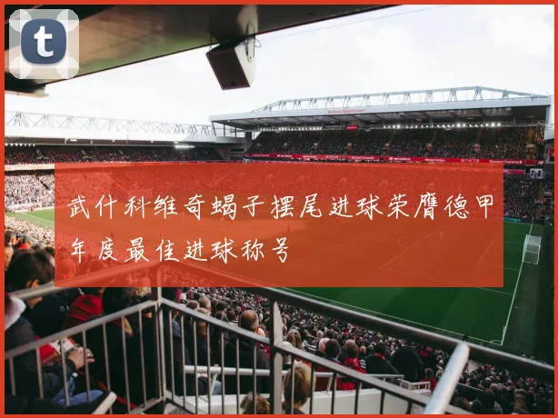 武什科维奇蝎子摆尾进球荣膺德甲年度最佳进球称号